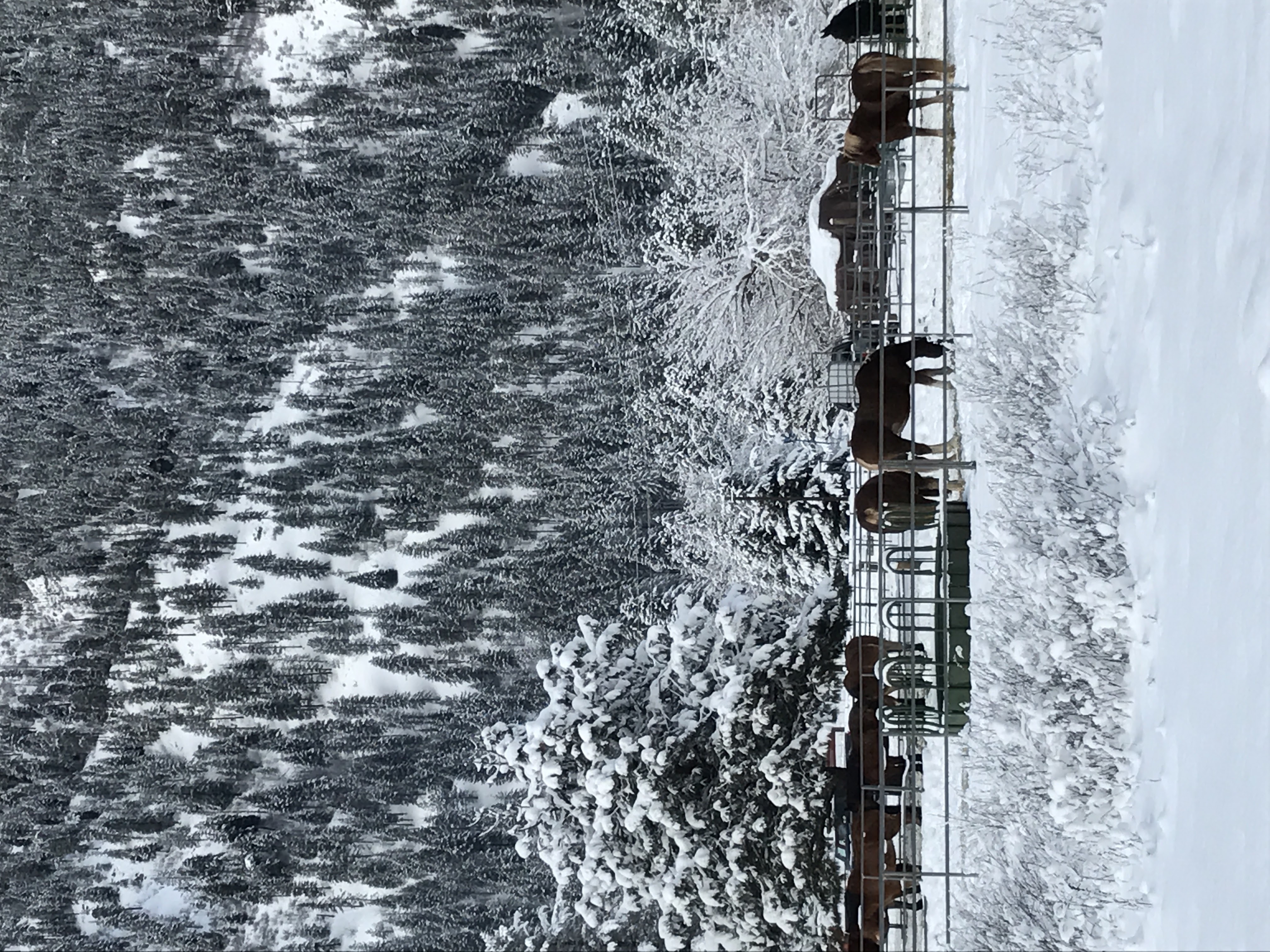 Christmas in Leavenworth