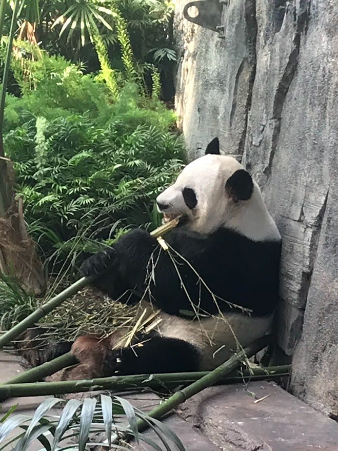 Smithsonian National Zoo