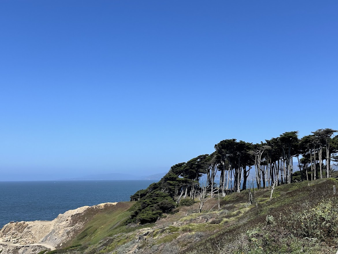 Lands End