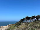 IMG_6920.jpg