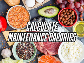 HOW TO CALCULATE MAINTENANCE CALORIES