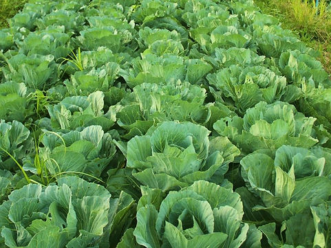 fotografia dell'azienda