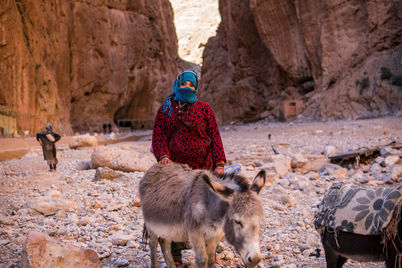 Donna in abbigliamento tradizionale con asino in un canyon in Marocco.