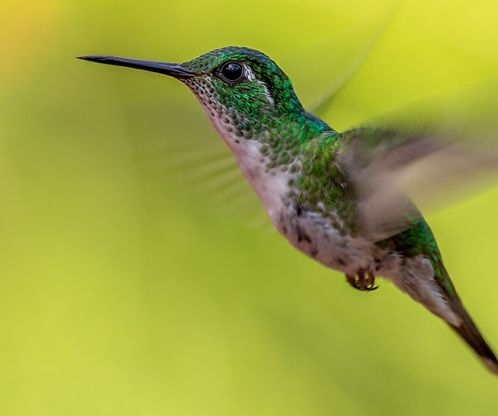 Immagine proposta di viaggio