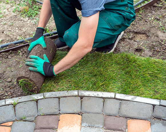 CURA E GESTIONE DEL VERDE