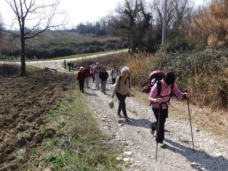 Un gruppo di escursionisti cammina su un sentiero sterrato tra la vegetazione nei pressi del Montefeltro, con il cielo sereno che promette una giornata ideale per l'avventura.