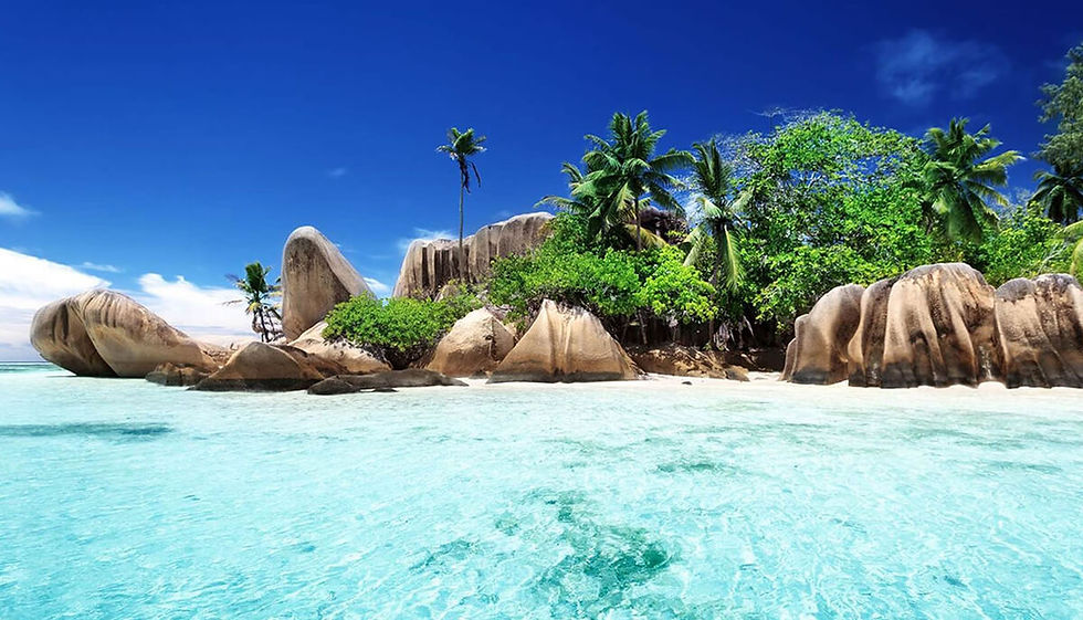 Quando andare alle Seychelles? La guida per scegliere il momento perfetto per partire