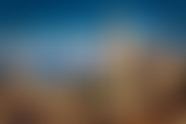 Chamber of Commerce, Industry, and Navigation of Girona: Mission, Activities, and Prospects