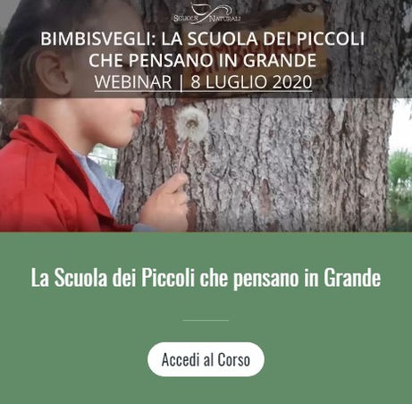 BIMBI SVEGLI LA SCUOLA DEI PICCOLI.jpg
