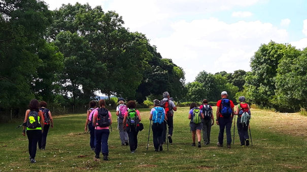 Un gruppo di escursionisti con zaini in spalla cammina lungo un sentiero aperto nei Cotswolds.