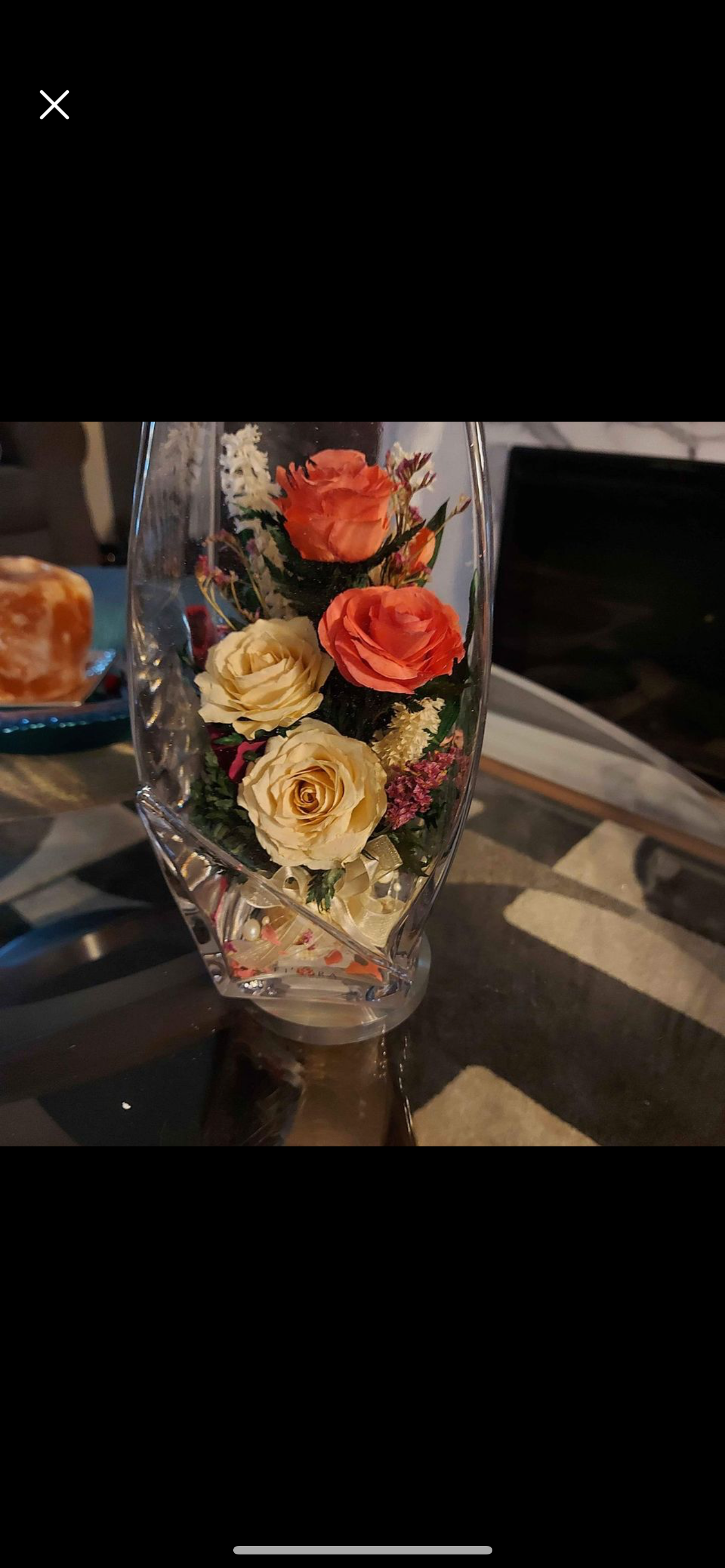 Rose in vase 