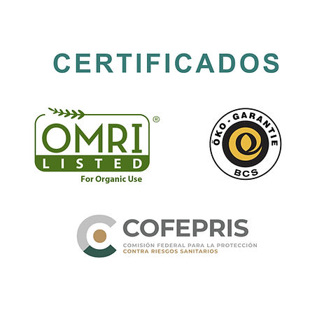 certificados.jpg