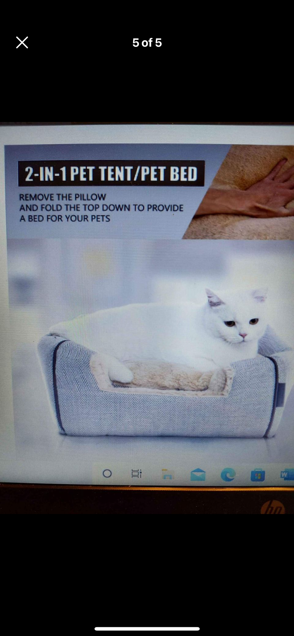 Thumbnail: Cat cave 