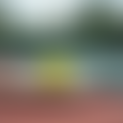 Top Tips for Choosing a Pickleball Paddle