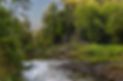 Screenshot 2024-02-06 150640_edited.jpg
