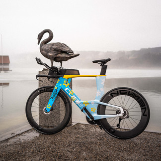 Das Cube Aerium im Hannes Hawaii Tours Design