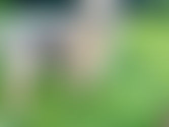 Portée du 09/03 : Tous vendus