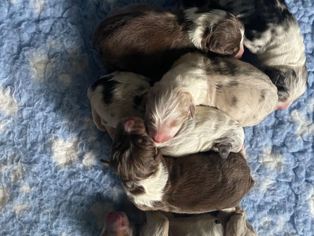 Portée du 07/03 : Tous vendus