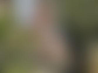 My Life in Libraries