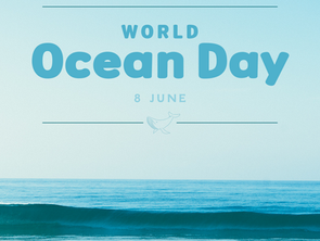 🏖️World Ocean Day🌊