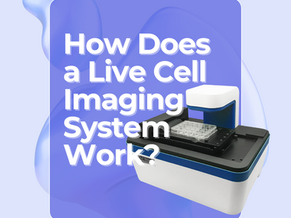 How Does a Live Cell Imaging System Work?