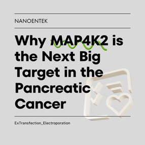 MAP4K2 effect in pancreatic cancer