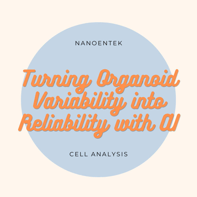 Turning Organoid Variability into Reliability with AI