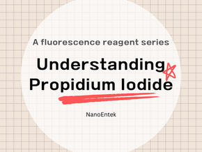 Understanding Propidium Iodide
