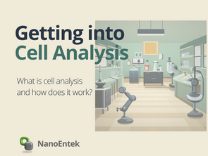 Getting into Cell Analysis