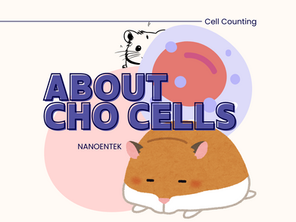 About CHO Cells