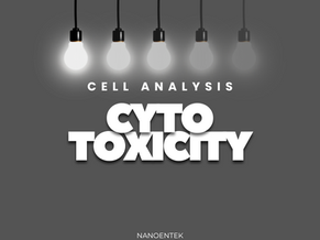 Cytotoxicity