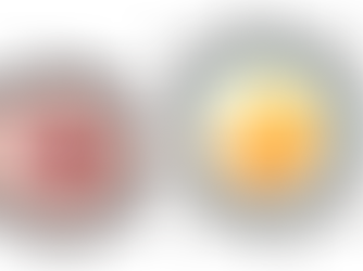 Introduction to immune cell therapy