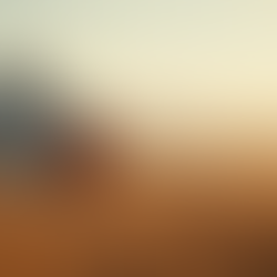 Luxury Glamping Tent Rentals for Your Next Adventure