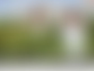 Lajikkeiden Metribuzin kestävyys (Senkor tms.)