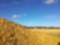 IMG-20220111-WA0014.jpg