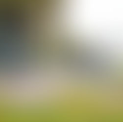 Referenssikuvaukset PolarHouse Oy