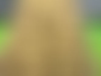 Uutuuslajike: Georgina