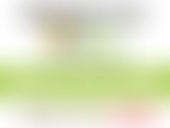 Tärkkiperuna Online 9.2.2021