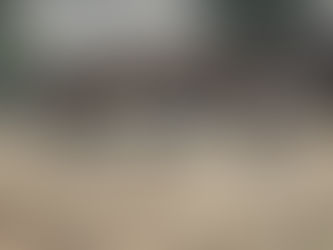 Kesäkuulumisia sisältötoimistolta