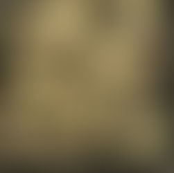 Lupaava Libra vakuutti jälleen!