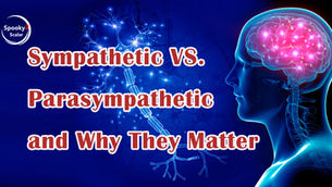 The Importance of Understanding Sympathetic and Parasympathetic Nervous Systems for Optimal Health