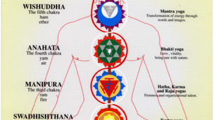 Chakra Frequency BALANCING WITH Spooky2
