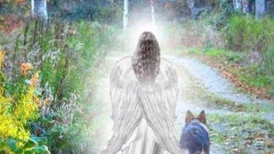 Are Angels Walking With You Today?