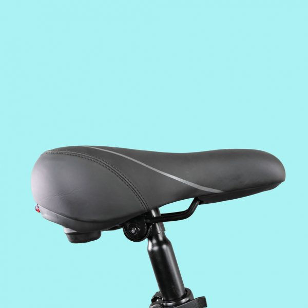 Miniatura: BICI ELETTRICA MOUNTAIN BIKE FRACTUM FAT