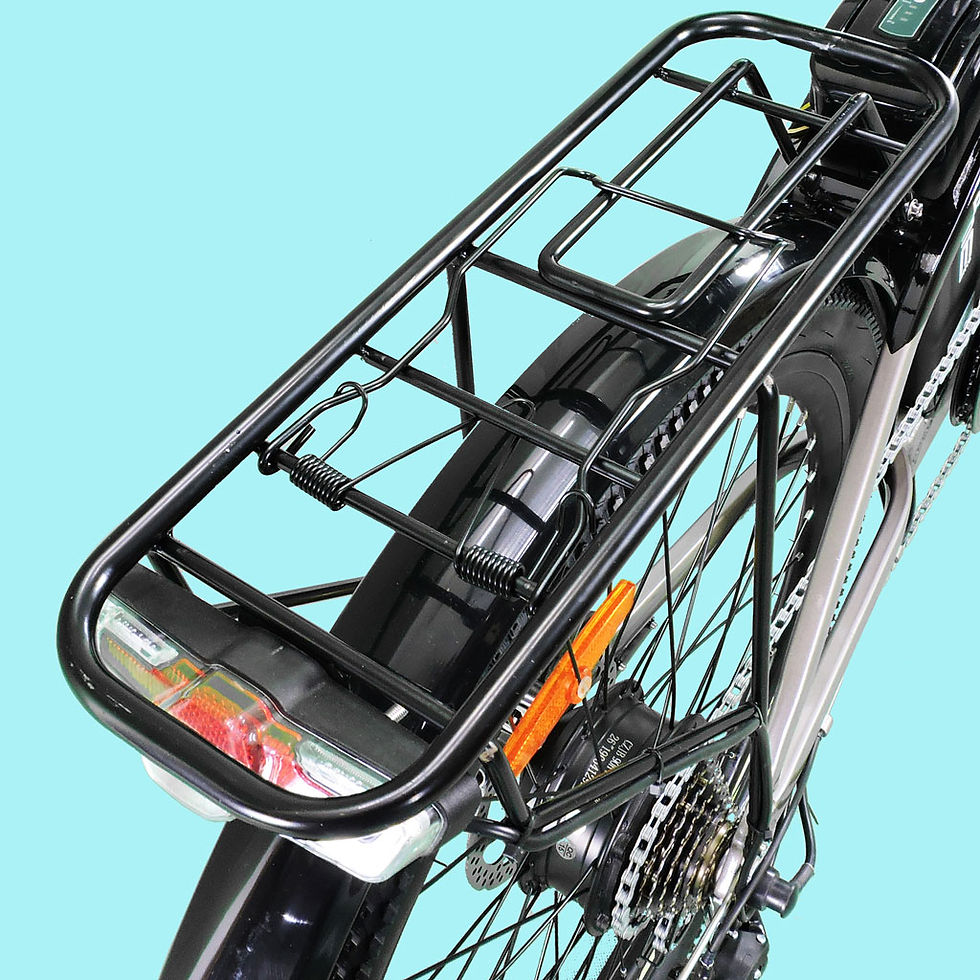 Miniatura: BICI ELETTRICA CITY BIKE FRIENDLY V3.2 250W 36V