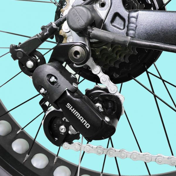 Miniatura: BICI ELETTRICA MOUNTAIN BIKE FRACTUM FAT