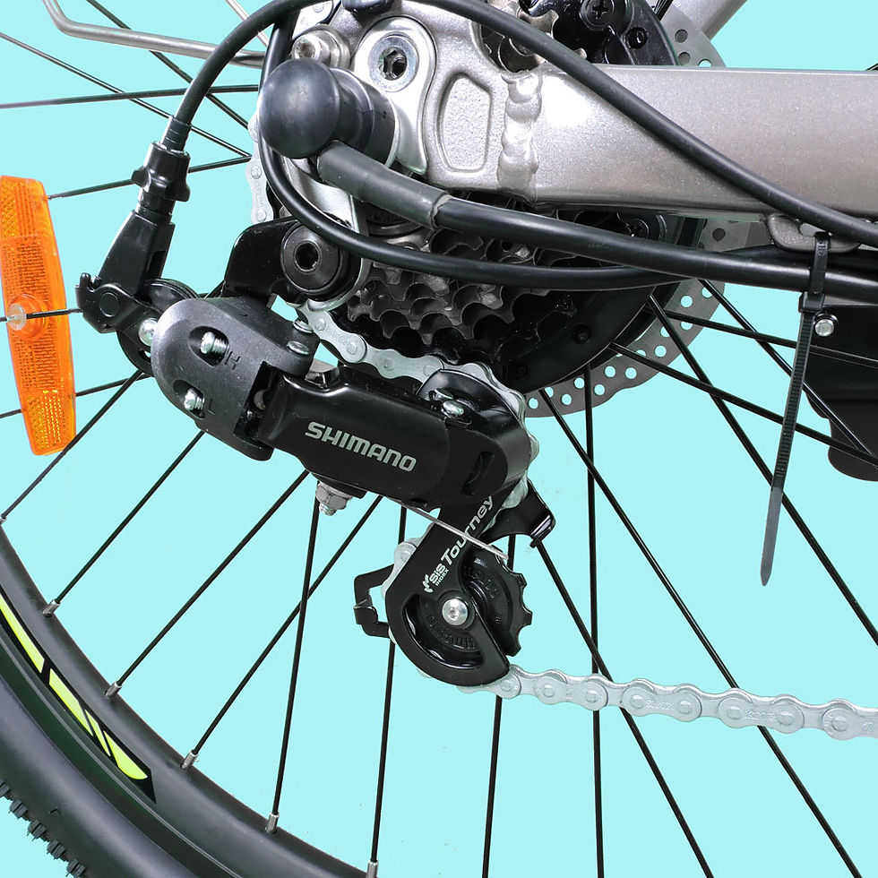 Miniatura: BICI ELETTRICA CITY BIKE FRIENDLY V3.2 250W 36V