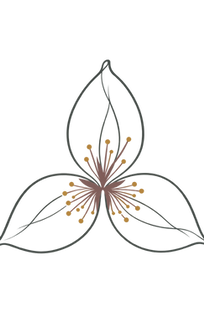 Trillium Graphic.png