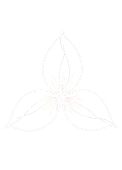 Trillium Graphic_edited.png