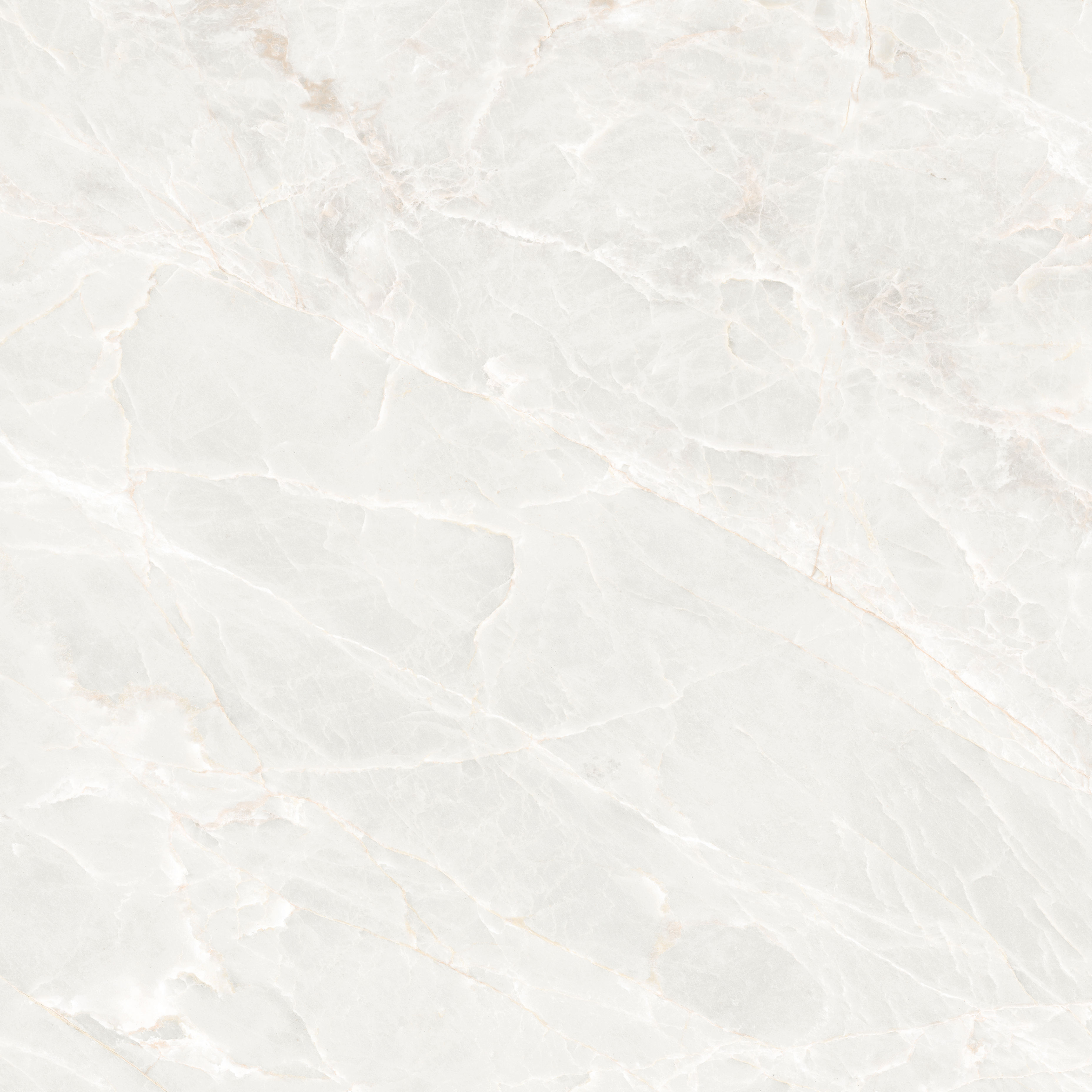 Feinsteinzeugfliese Brasilia White 120x120 Ecoceramic